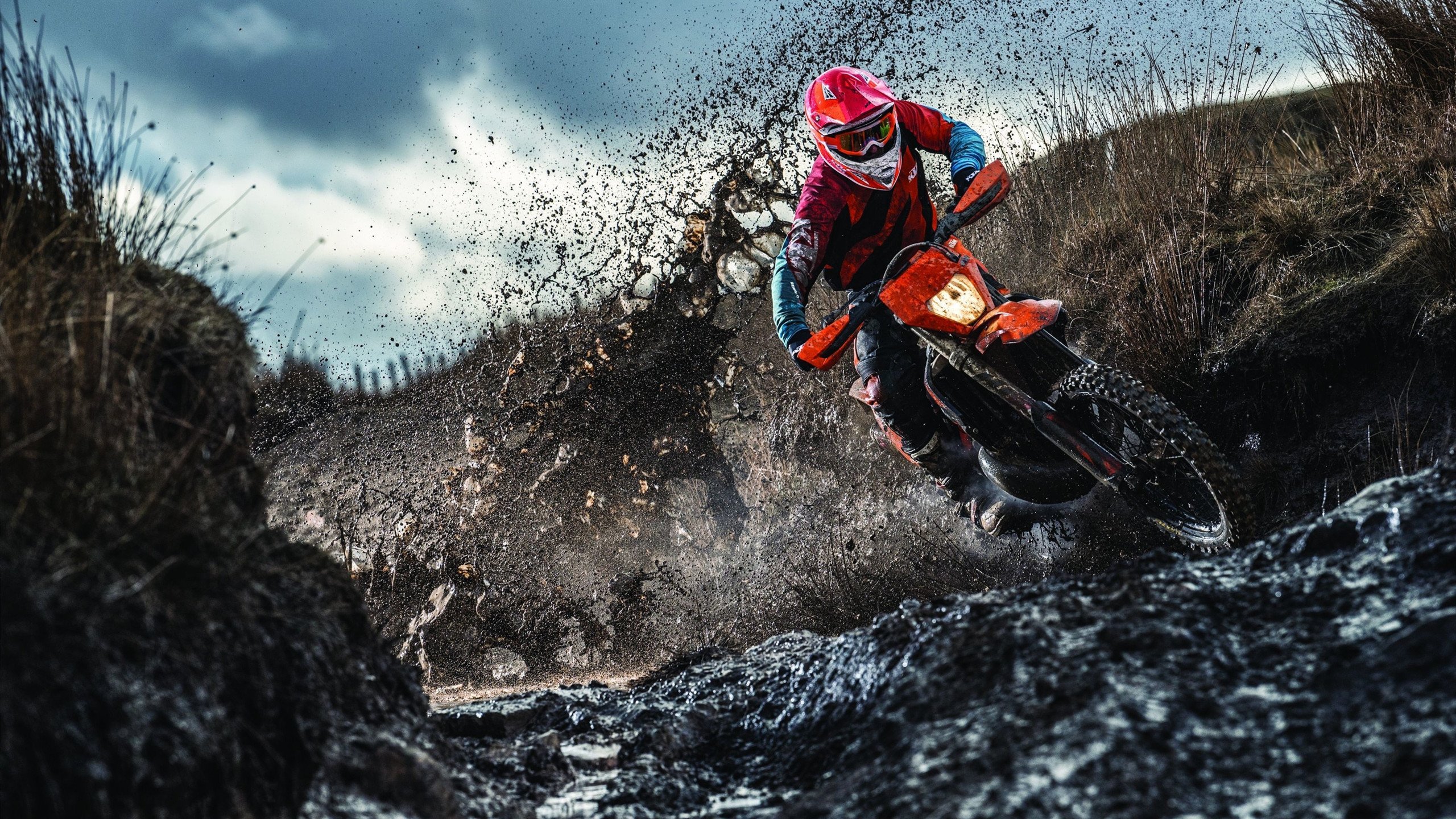 《【幕后揭秘】职业选手训练的科学化与系统化》，职业选手训练室图片